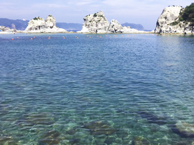 岩手県浄土ヶ浜