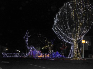 須賀神社前、「愛染院跡」にイルミネーション